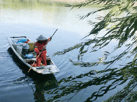 河道保洁服务