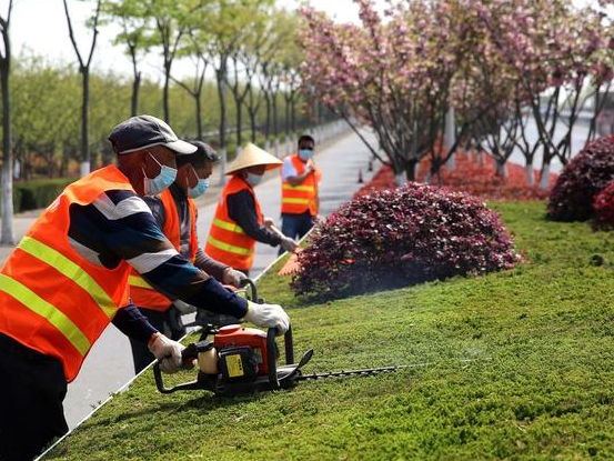 绿化养护服务